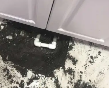 米林查漏水哪家好